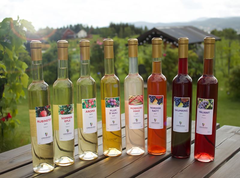 Lerkekåsa vingård produserer både druer, frukt, bær og vin - og egne vinflaskeetiketter.