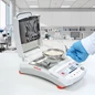 mb32 article section